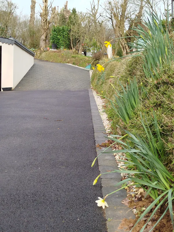 West Jardins Paysagiste A Malestroit Accescarrossables31
